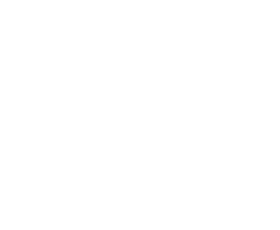 Q&A